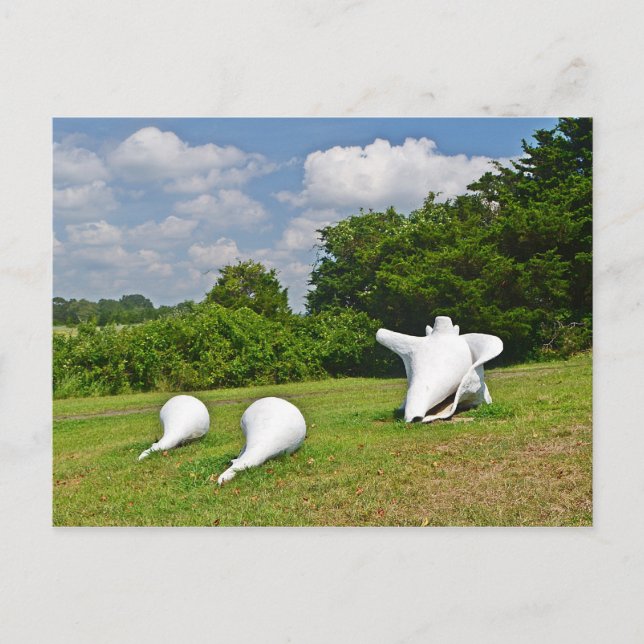 Hammonasset Postcard Postkarte (Vorderseite)