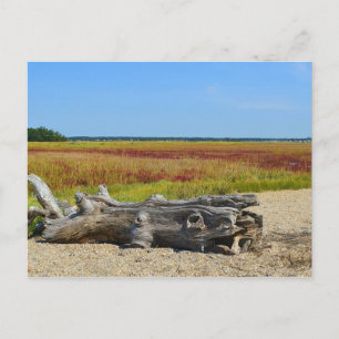Hammonasset Postcard Postkarte