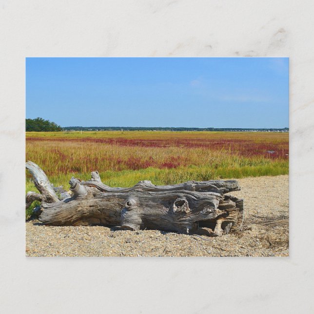 Hammonasset Postcard Postkarte (Vorderseite)