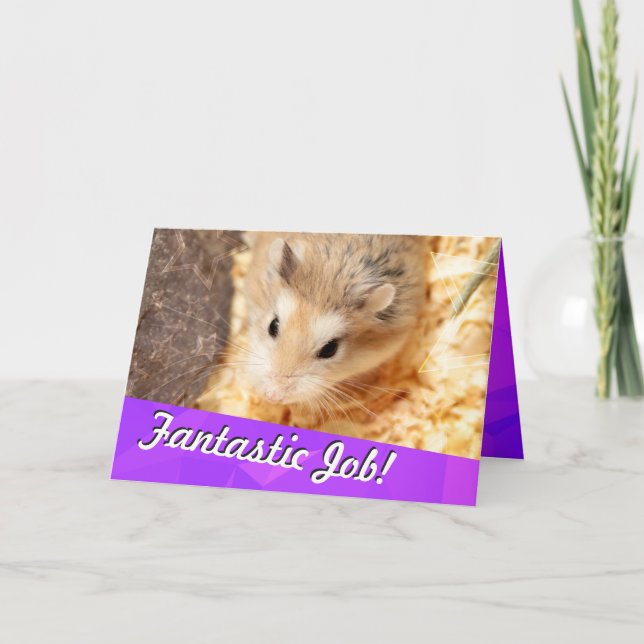 Hammyville - Hamster Glückwünsche Karte (Vorderseite)