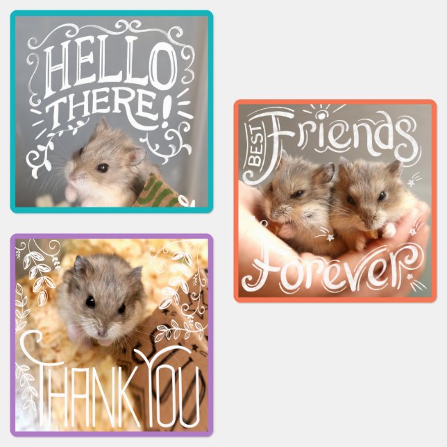 Hammyville - Hamsters Hallo, BESTE FREUNDIN, viele Etiketten (Gruppe)