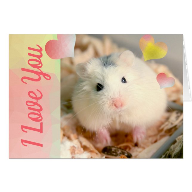 HammyVille - Joli Robo Hamster Valentine (Devant horizontal)