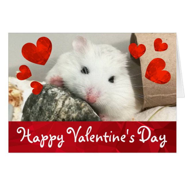 HammyVille - Joli Robo Hamster Valentine (Devant horizontal)
