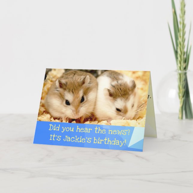 Hammyville - Jolie carte d'anniversaire Hamster (Devant)