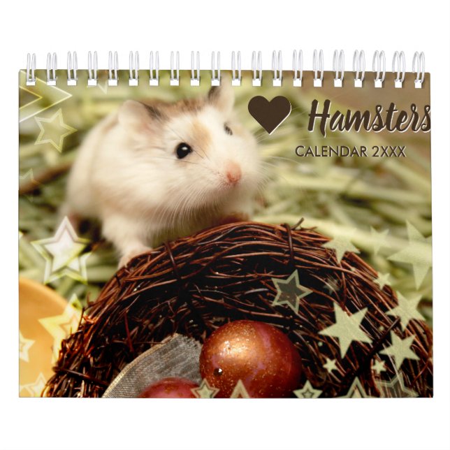 Hammyville - Licht-Sterne Kalender (Titelbild)