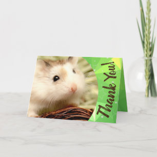 Hammyville - Merci de Hamster mignon