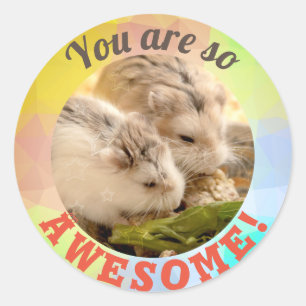 HammyVille - Niedlich Hamster Sie sind so Phantast Runder Aufkleber