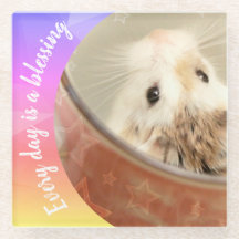 Hammyville - Niedlich Robo Hamster