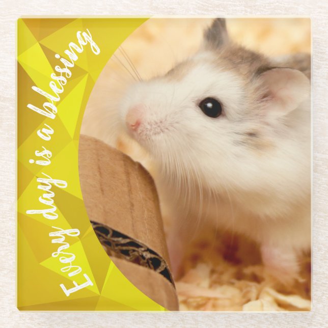 Hammyville - Niedlich Robo Hamster Glasuntersetzer (Vorderseite)