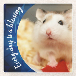 Hammyville - Niedlich Robo Hamster Glasuntersetzer