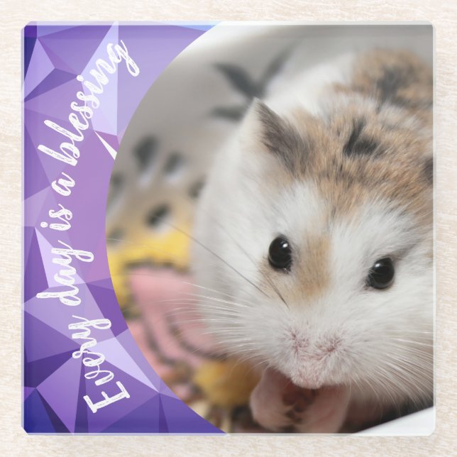 Hammyville - Niedlich Robo Hamster Glasuntersetzer (Vorderseite)