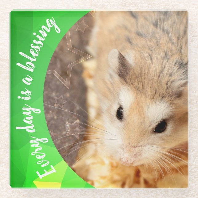Hammyville - Niedlich Robo Hamster Glasuntersetzer (Vorderseite)