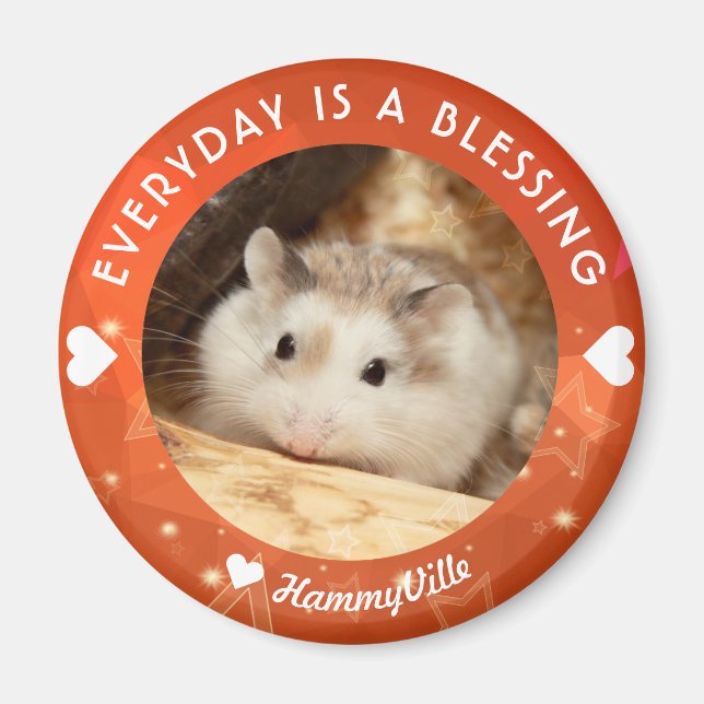 Hammyville - Niedlich Robo Hamster Magnet (Vorne)