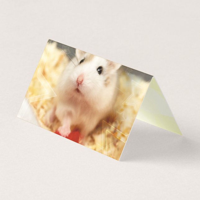 Hammyville - Niedlicher Hamster (Vorderseite)