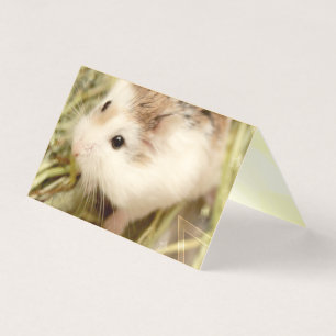 Hammyville - Niedlicher Hamster