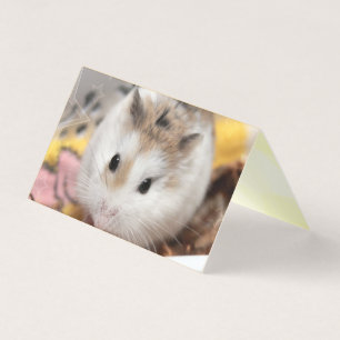 Hammyville - Niedlicher Hamster