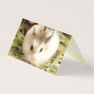 Hammyville - Niedlicher Hamster