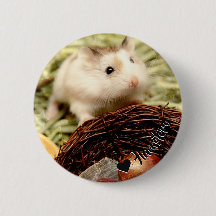 Hammyville - Niedlicher Hamster