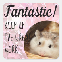 HammyVille - Niedlicher Hamster Fantastische Arbei
