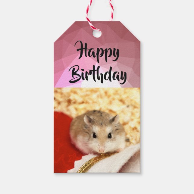 Hammyville - Niedlicher Hamster Geschenkanhänger (Vorderseite)