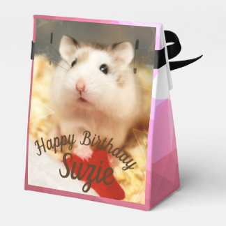 Hammyville - Niedlicher Hamster Geschenkschachtel