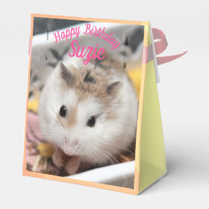 Hammyville - Niedlicher Hamster Geschenkschachtel