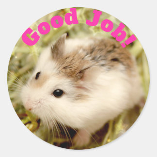 Hammyville - Niedlicher Hamster Gute Arbeit Runder Aufkleber