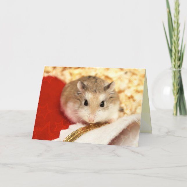 Hammyville - Niedlicher Hamster Karte (Vorderseite)