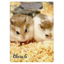 Hammyville - Niedlicher Hamster