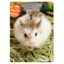 Hammyville - Niedlicher Hamster
