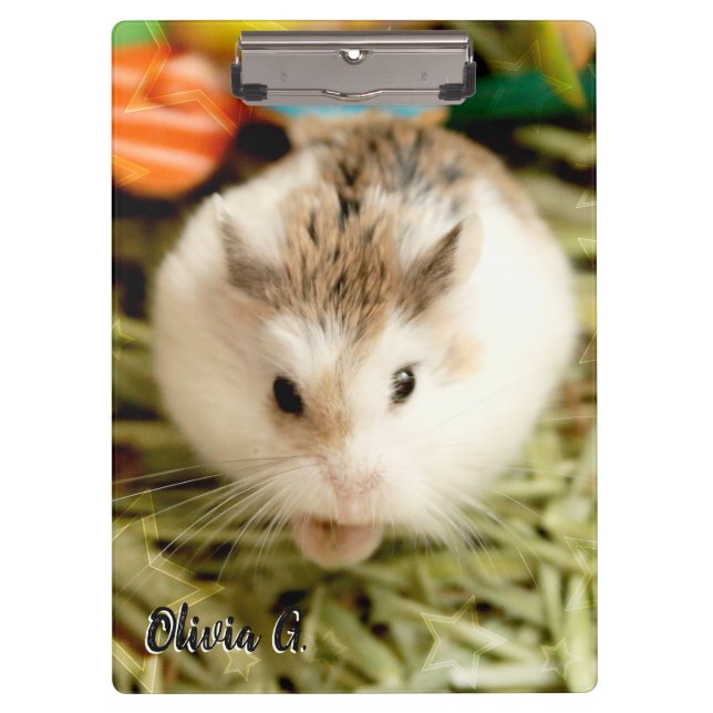 Hammyville - Niedlicher Hamster Klemmbrett (Vorderseite)