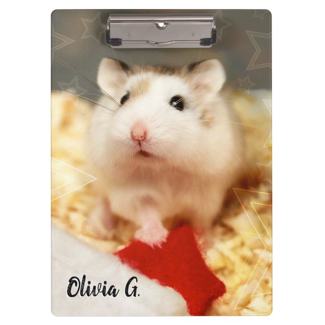 Hammyville - Niedlicher Hamster Klemmbrett (Vorderseite)