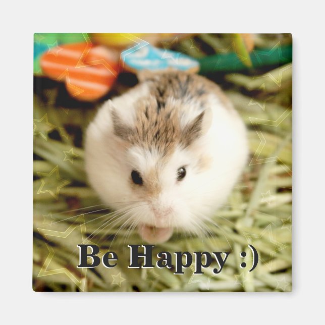 Hammyville - Niedlicher Hamster Magnet (Vorne)