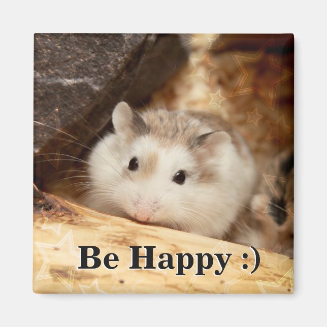 Hammyville - Niedlicher Hamster Magnet (Vorne)
