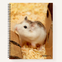 Hammyville - Niedlicher Hamster