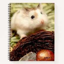 Hammyville - Niedlicher Hamster