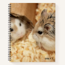 Hammyville - Niedlicher Hamster