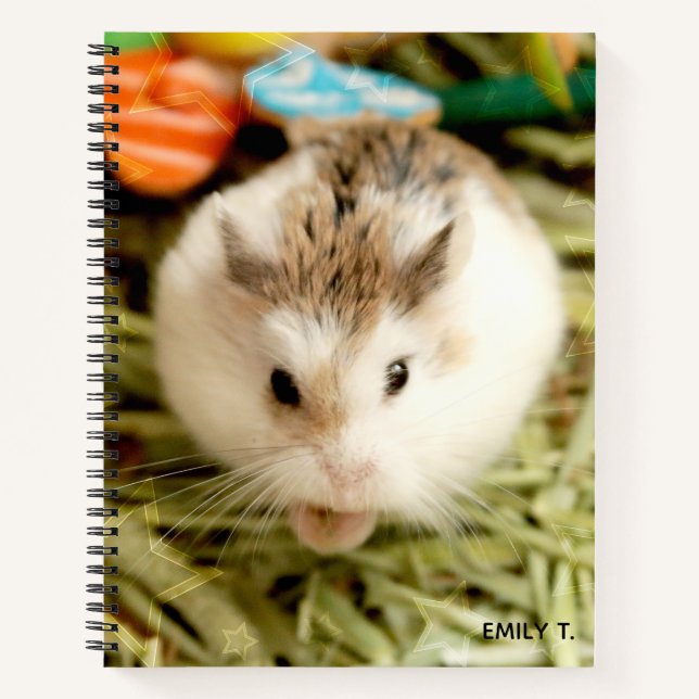 Hammyville - Niedlicher Hamster Notizbuch (Vorderseite)