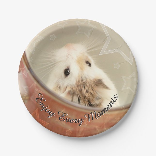 Hammyville - Niedlicher Hamster Pappteller (Vorderseite)