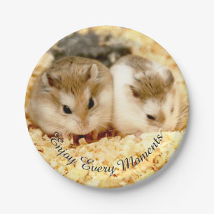 Hammyville - Niedlicher Hamster Pappteller