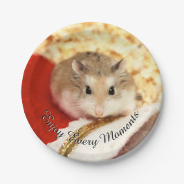 Hammyville - Niedlicher Hamster Pappteller