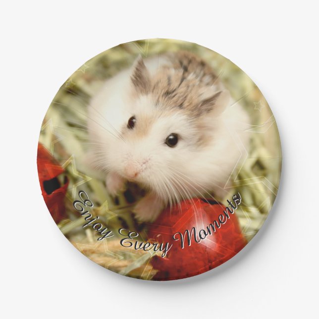 Hammyville - Niedlicher Hamster Pappteller (Vorderseite)