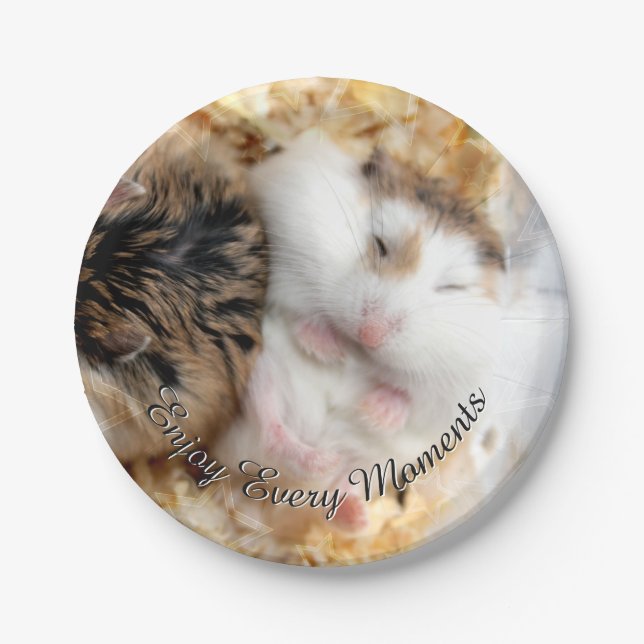 Hammyville - niedlicher Hamster Pappteller (Vorderseite)