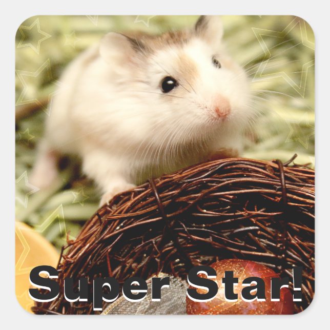 Hammyville - Niedlicher Hamster Quadratischer Aufkleber (Vorderseite)