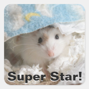 Hammyville - Niedlicher Hamster Quadratischer Aufkleber