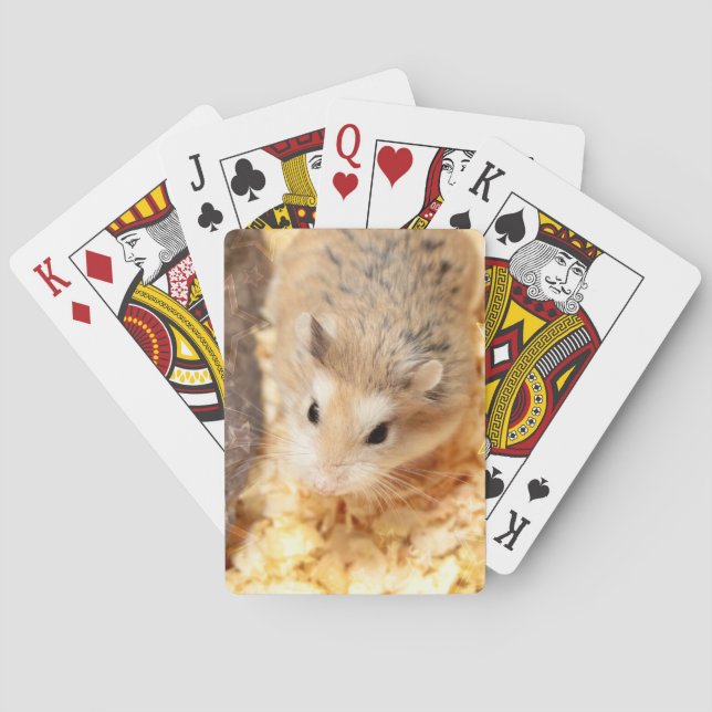 Hammyville - Niedlicher Hamster Spielkarten (Rückseite)