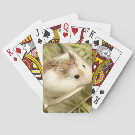 Hammyville - Niedlicher Hamster Spielkarten