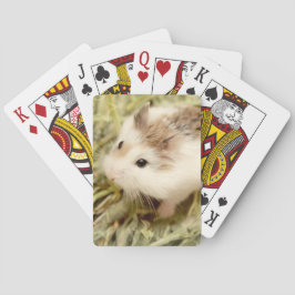 Hammyville - Niedlicher Hamster Spielkarten