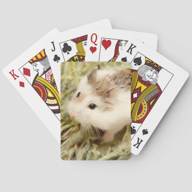 Hammyville - Niedlicher Hamster Spielkarten (Rückseite)