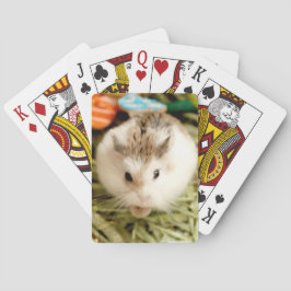 Hammyville - Niedlicher Hamster Spielkarten